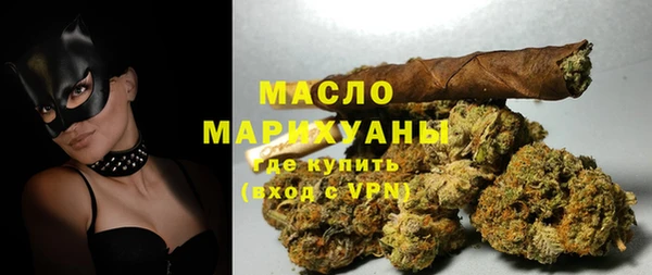 индика Медвежьегорск