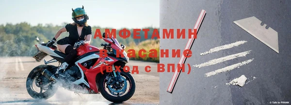 индика Медвежьегорск