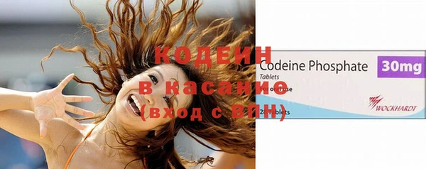 индика Медвежьегорск