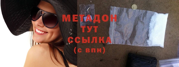 индика Медвежьегорск