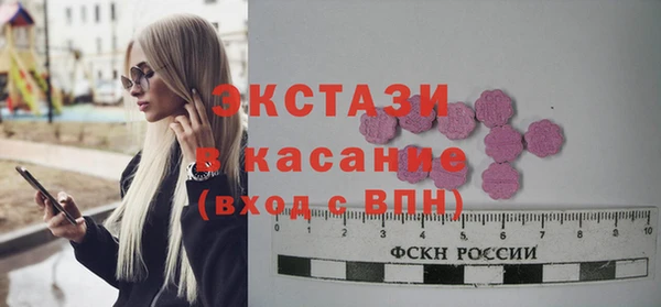 индика Медвежьегорск