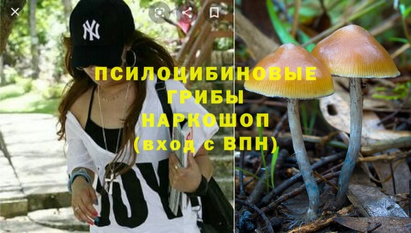 бутират Медногорск