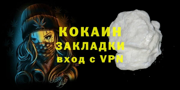 индика Медвежьегорск