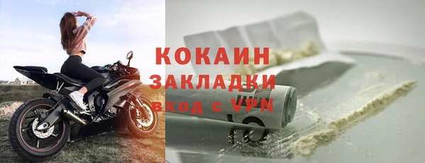 индика Медвежьегорск