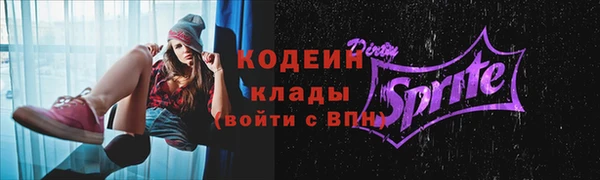 индика Медвежьегорск