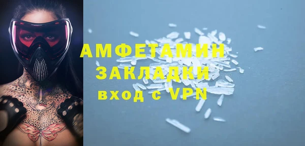 индика Медвежьегорск