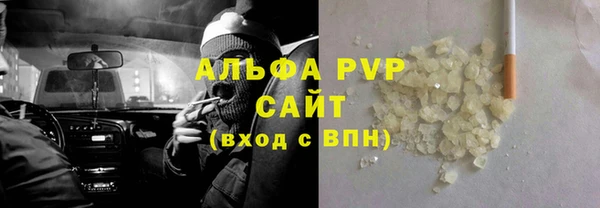 индика Медвежьегорск