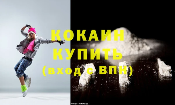 индика Медвежьегорск
