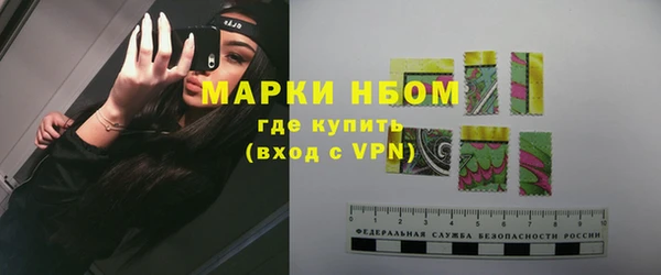 индика Медвежьегорск