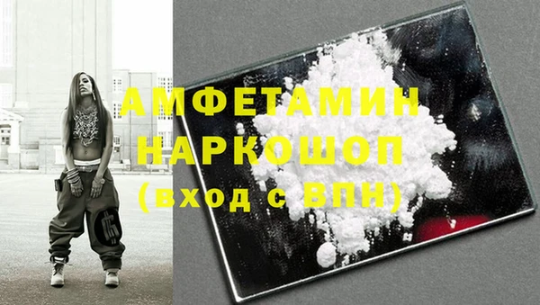 индика Медвежьегорск