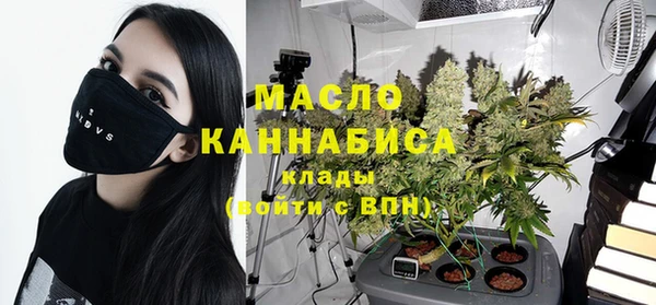 индика Медвежьегорск