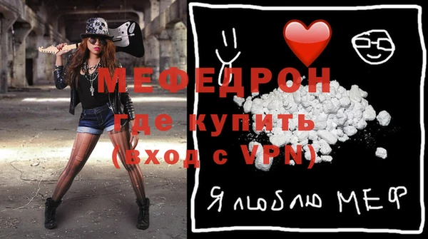 индика Медвежьегорск