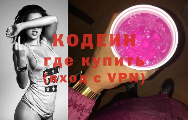 индика Медвежьегорск
