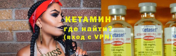 индика Медвежьегорск