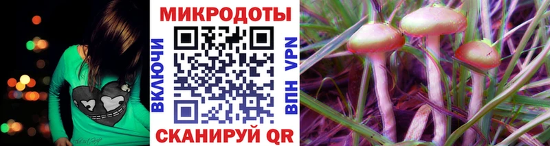 Псилоцибиновые грибы Psilocybe Ядрин